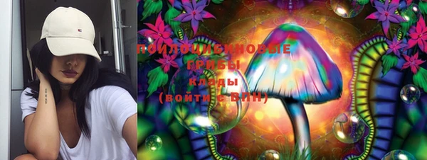мдпв Алзамай