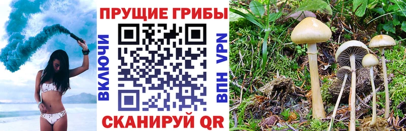 Псилоцибиновые грибы прущие грибы Краснокамск
